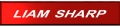sharptag.jpg (4298 bytes)